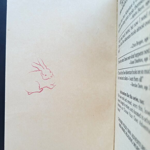 VINTAGE CHOOSE YOUR OWN ADVENTURE 1980s LOT OF 12 BOOKS SOME RARE 1ST EDITIONS - Picture 12 of 16